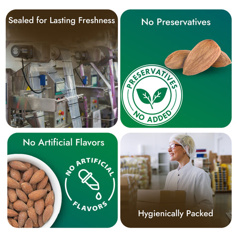Sabrosia's Salted Almonds – 160 Gram(Pack of 4)